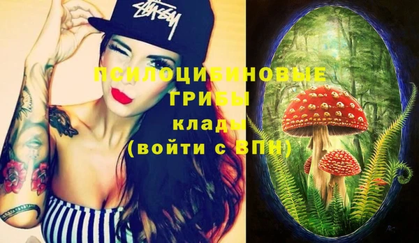 сатива Алзамай