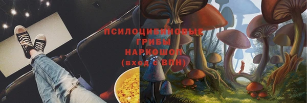сатива Алзамай
