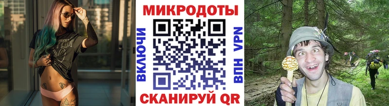 купить наркотик  Алзамай  Псилоцибиновые грибы Psilocybine cubensis 